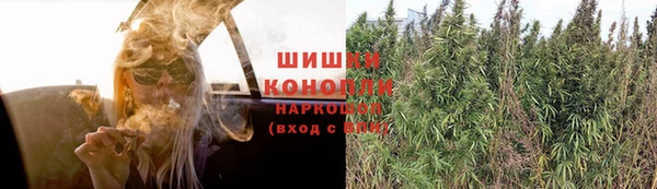 ГАЛЛЮЦИНОГЕННЫЕ ГРИБЫ Зерноград